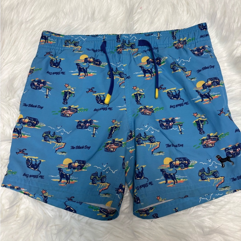 * | The Black Dog | boys swim shorts. Size S.